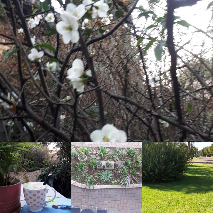 מידלבורג Aero Lodge Guest House מראה חיצוני תמונה